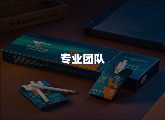 专业团队